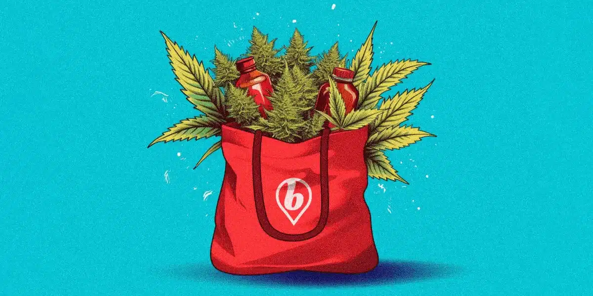 Looking for Weed Delivery in Chicago? Say Hello to Bud.com