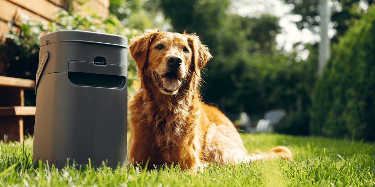 Pet Genie™: The Next Big Innovation in Dog Waste Disposal
