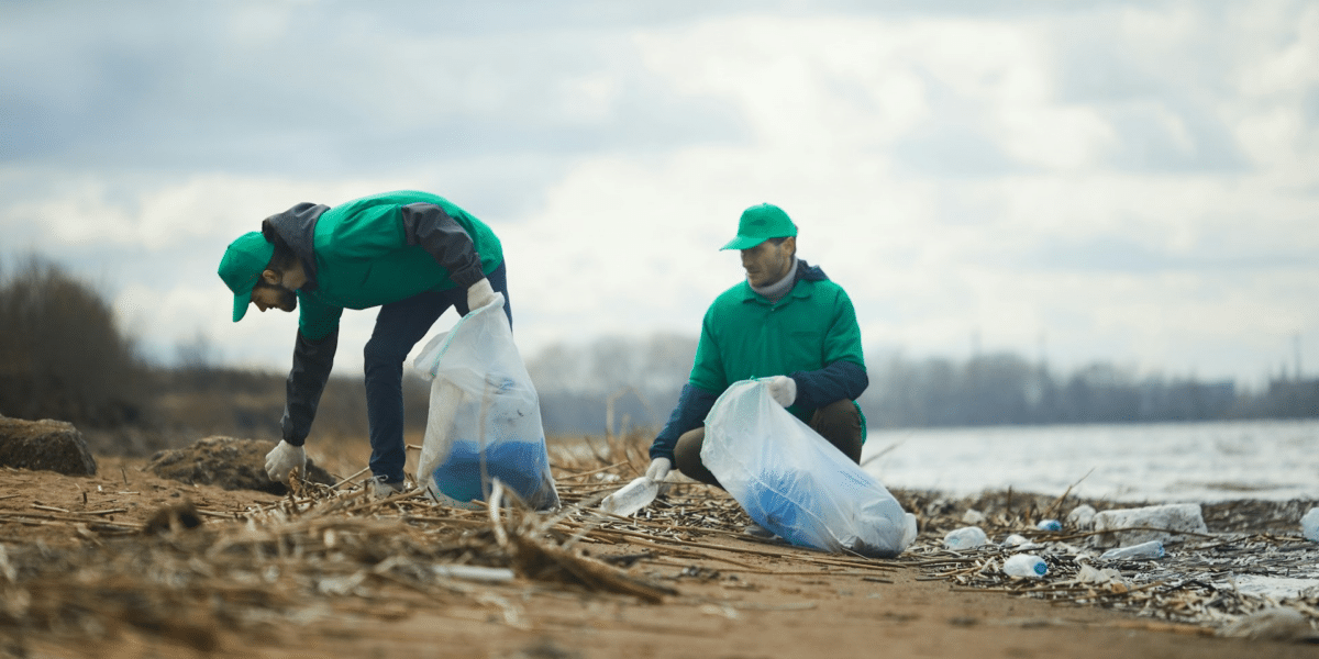 Pollution Control in Chicago
