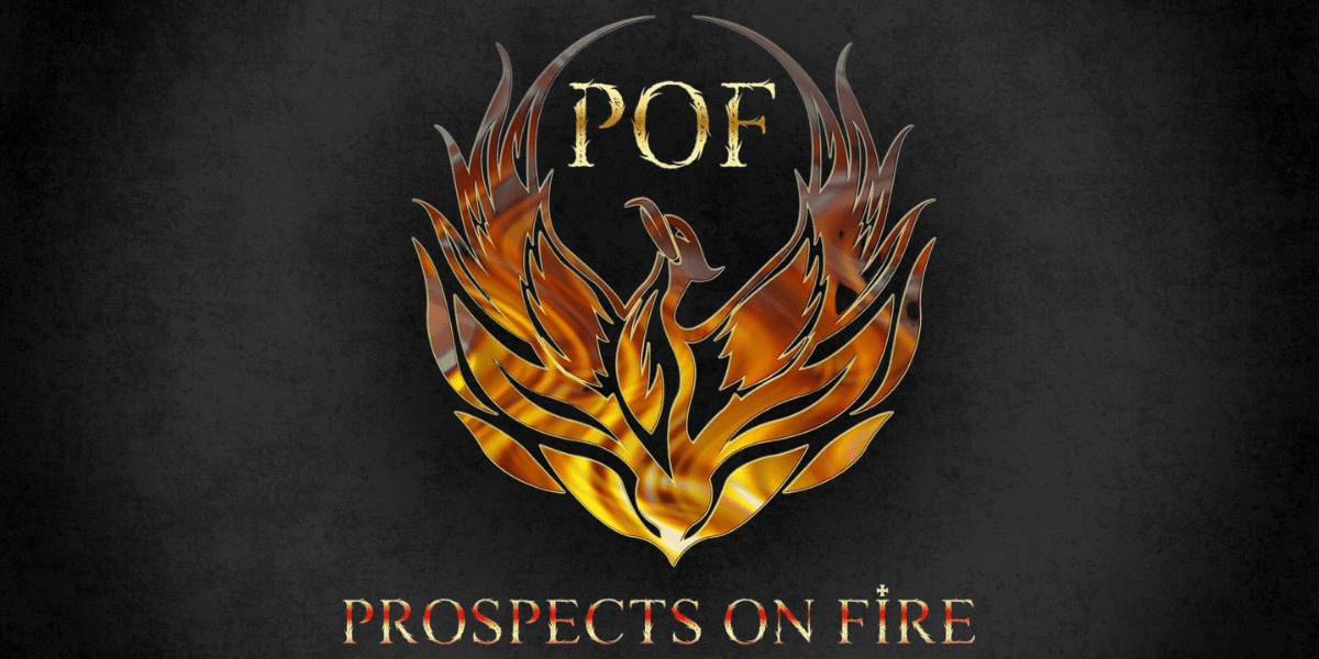 Prospects on Fire: Innovative Social Media Strategies for Growth