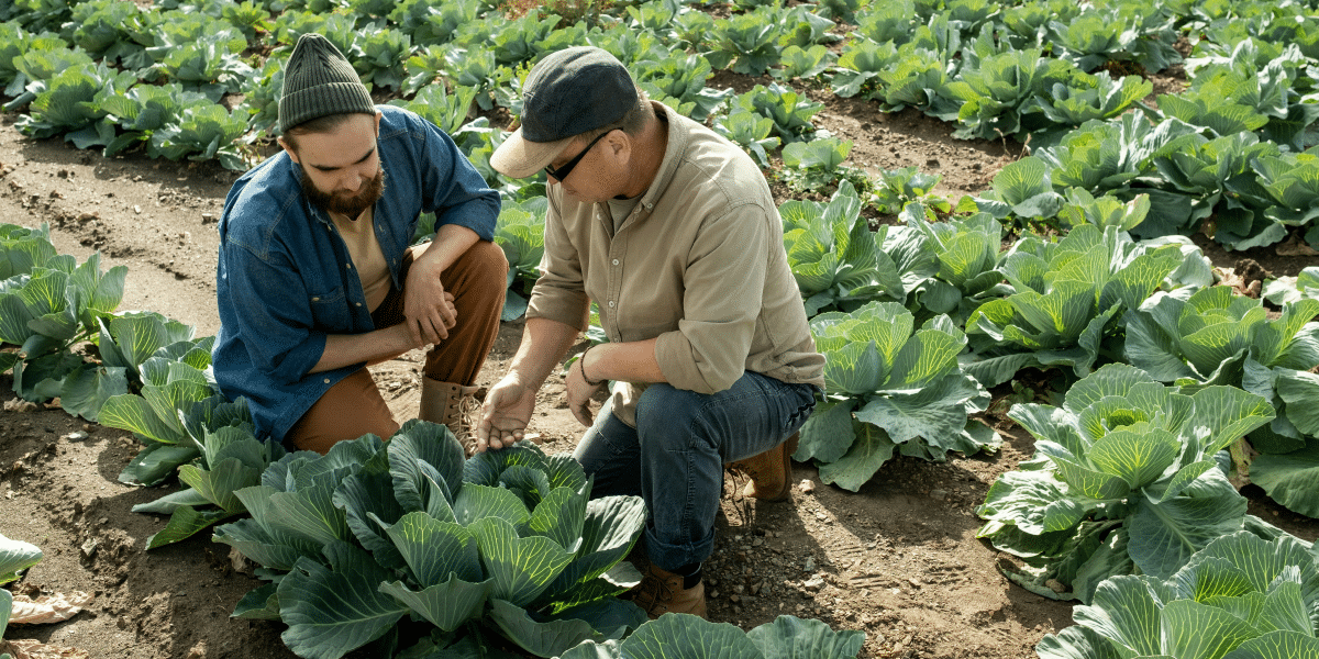 Small Holding Insurance: Tailored Coverage to Safeguard Your Farm and Livelihood