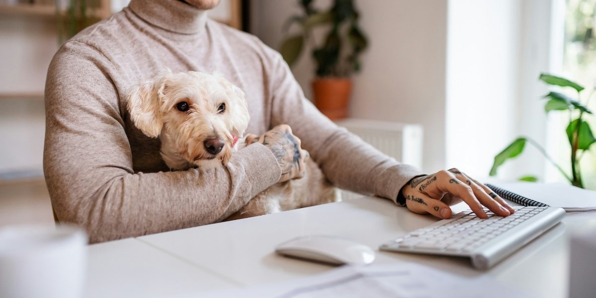 Role of Emotional Support Animals in Employee Productivity
