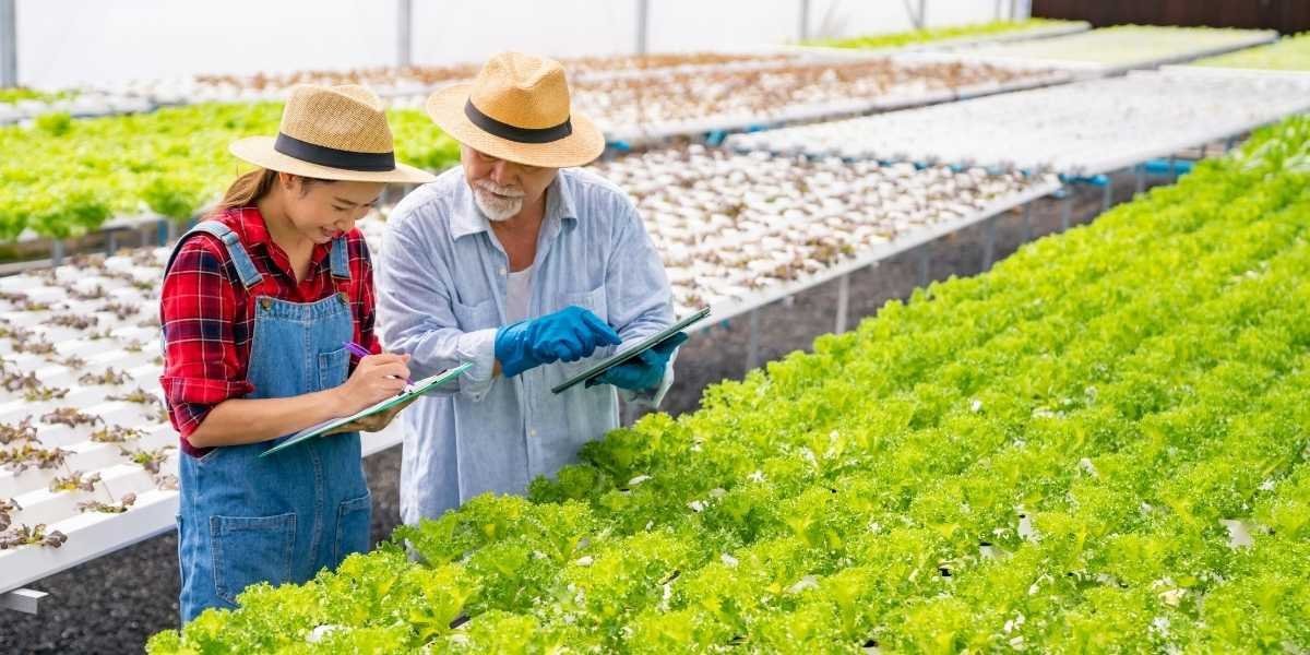 How Chicago’s Food & Ag-Tech Ecosystem is Leading Industry Growth