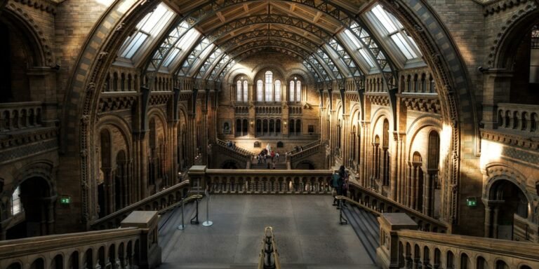 Chicago’s Museums Are Unionizing And It’s Reshaping The City’s Cultural Economy