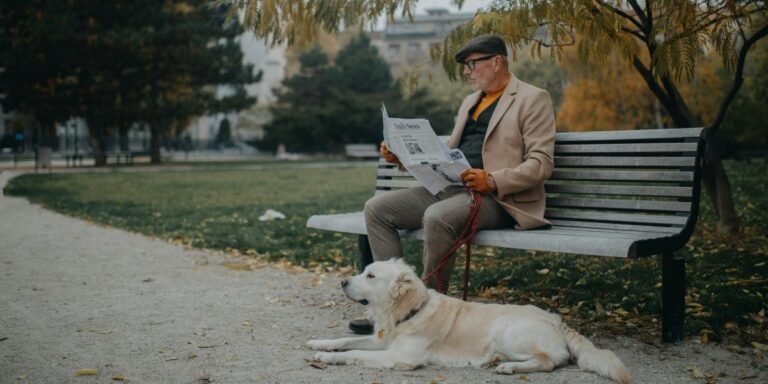 Medill Launches Shared Services Hub to Fortify Chicago's Local News Ecosystem