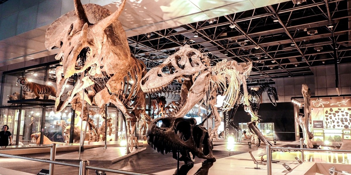 Researchers Discover a New Giant Predator in the Sahara Desert