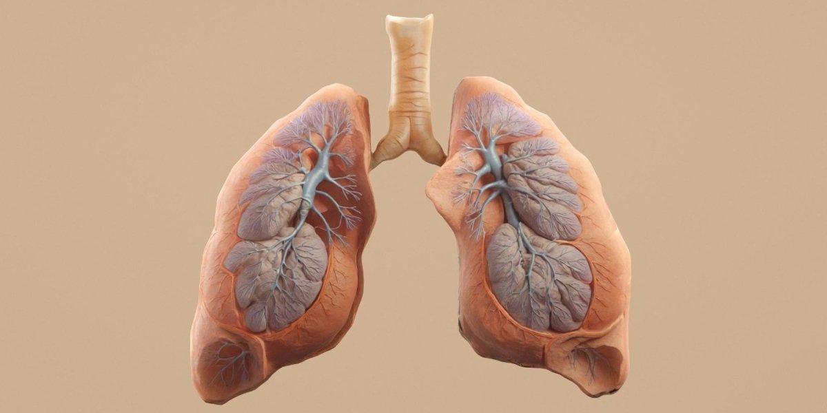 Why Lung Cancer Risk Isn’t Always About Smoking