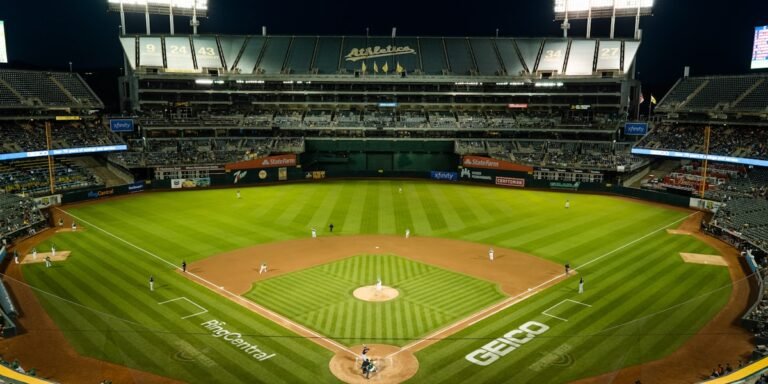 White Sox Stadium Upgrades That Changed the South Side Experience