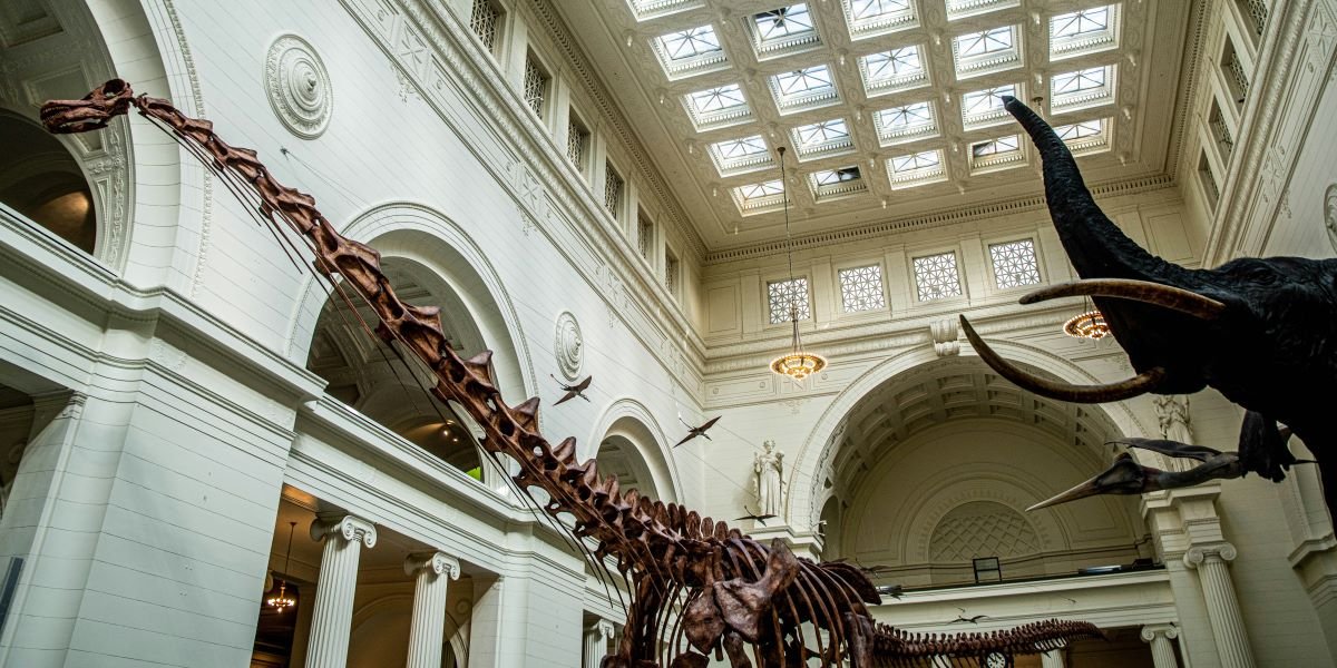 How To Attend Open House Chicago 2026 Themed Itineraries, Priority Passes And The New Built On Belief Route