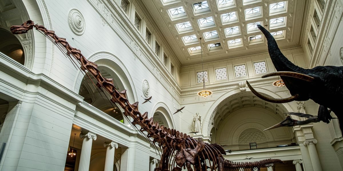How To Attend Open House Chicago 2026 Themed Itineraries, Priority Passes And The New Built On Belief Route