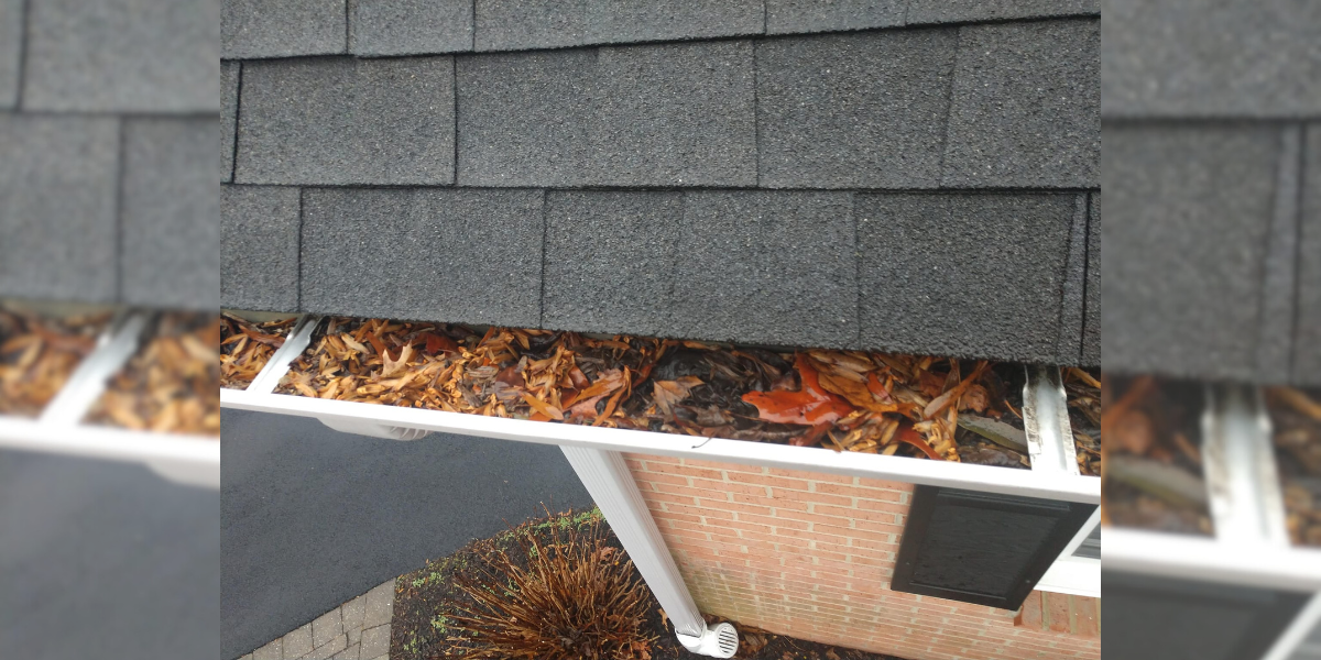Greenworld Gutter Cleaning Service: Your Solution for Year-Round Gutter Care